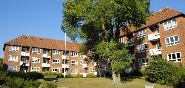 Vejen til industrialiseret boligbyggeri
